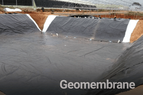 Geomembrane lining a large pond