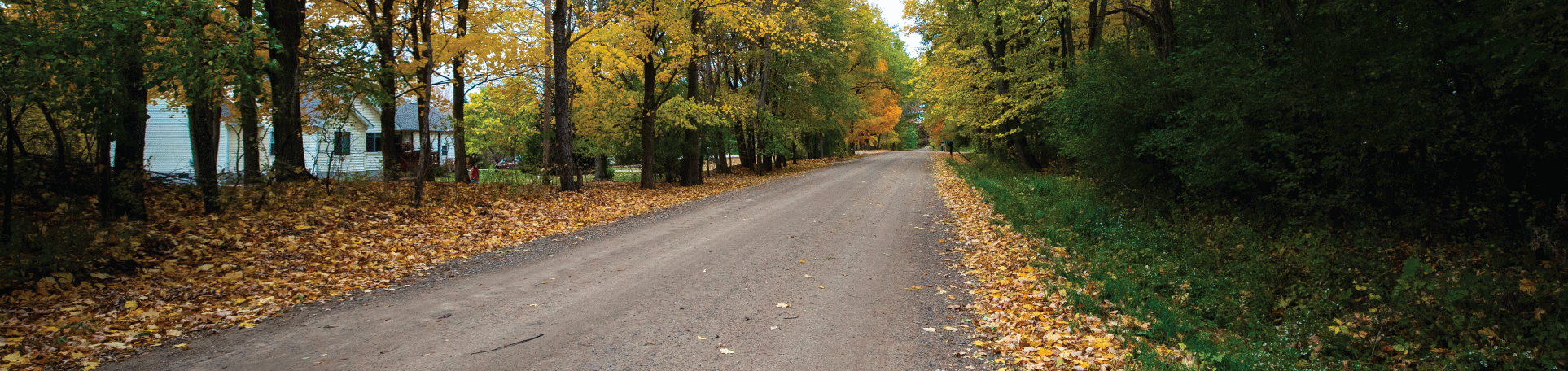 Perma-Zyme treated unpaved road passing residential property in Michigan