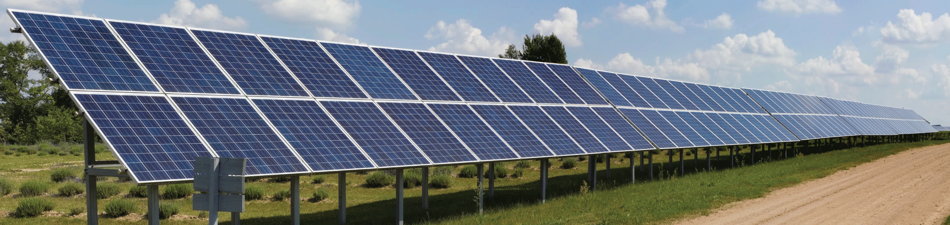 Solar farm panels along an unpaved access road in a green field edged with trees