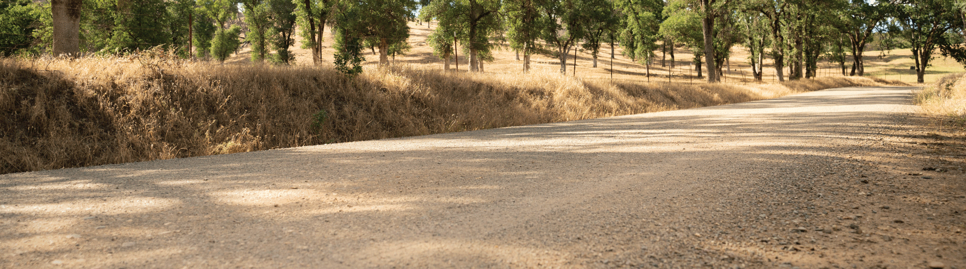 Unpaved, Perma-Zyme treated road in a rural area in Middleton, California