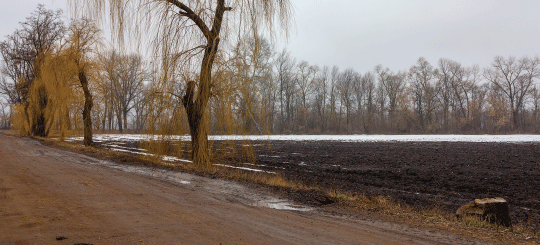 Rural unpaved access road in the winter