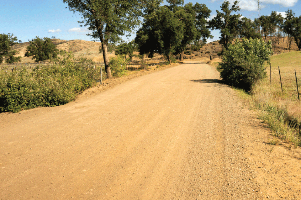 Unpaved private road lined with shrubs and trees