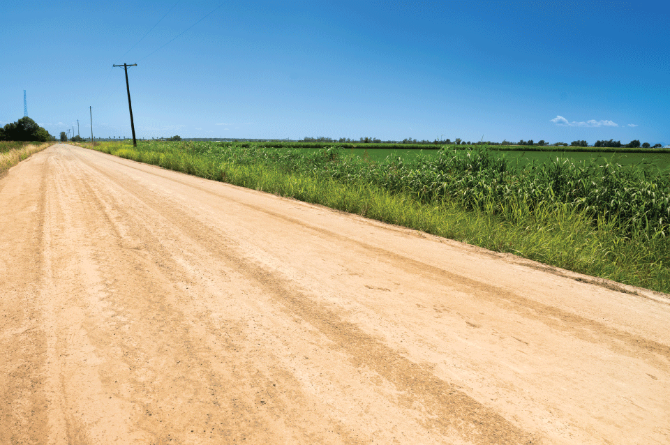 Unpaved rural county road with pasture and farm fields