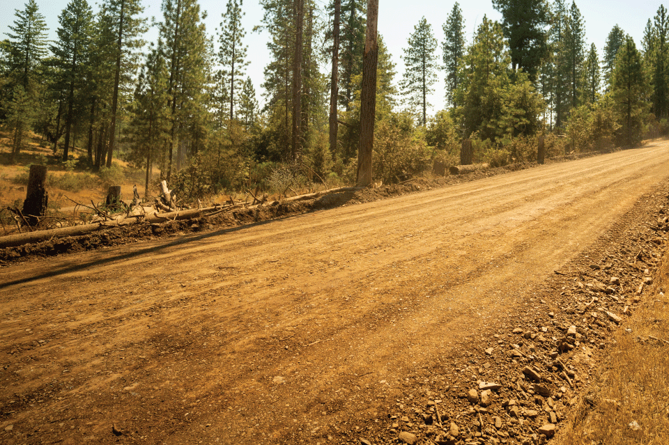 Unpaved, tree-lined dirt road that green energt companies could use in Mariposa, California