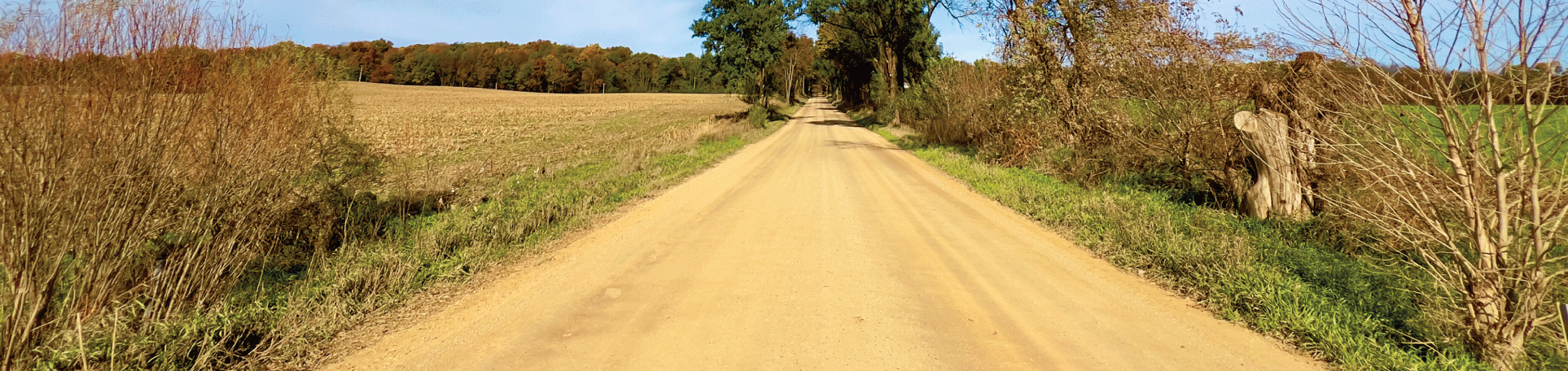 Perma-Zyme treated public dirt road in rural farming areas