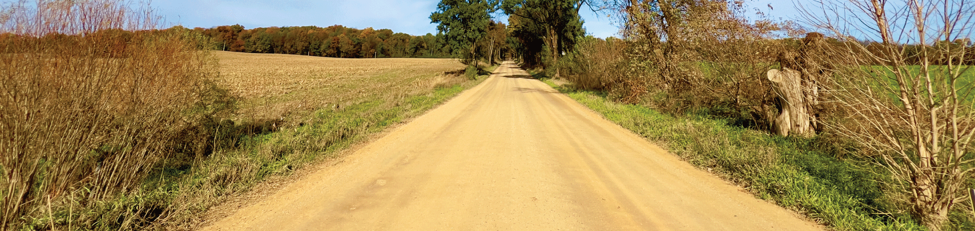 Perma-Zyme treated road in agricultural Michigan community